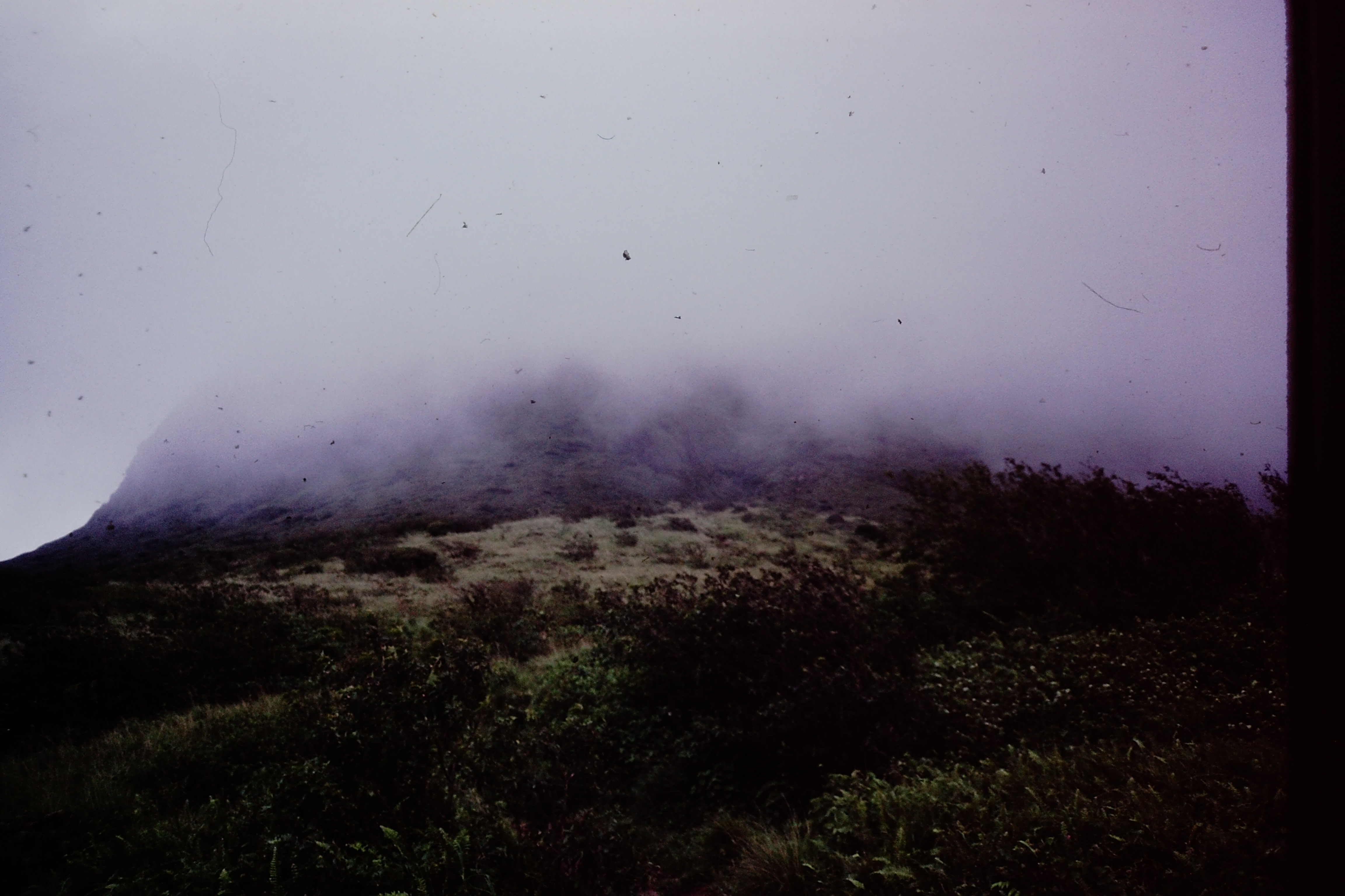 PICT0004